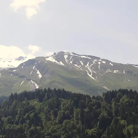 Lejlighed Titlis-zentrum 5